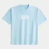 Boxy Heavyweight Oasis Graphic Tee